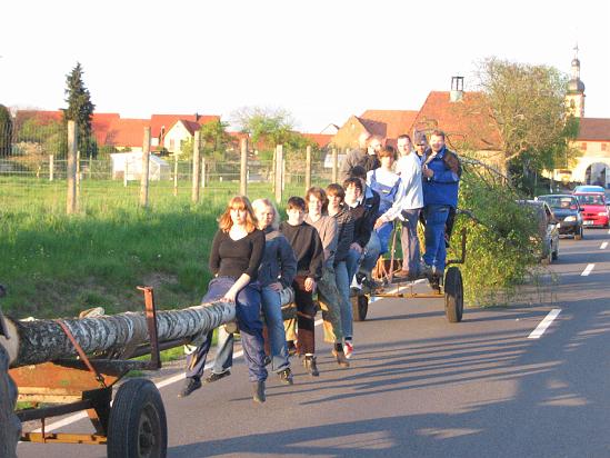 Maibaum 71.jpg